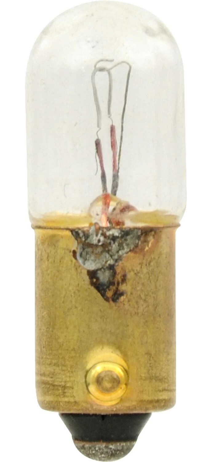 1816 Sylvania Long Life Mini Bulb, 2-pk - Image 4